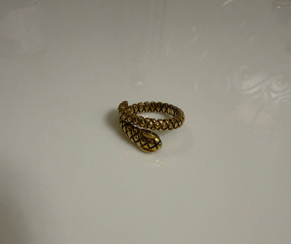 Serpent Coil Ring ( Anti Tarnish)