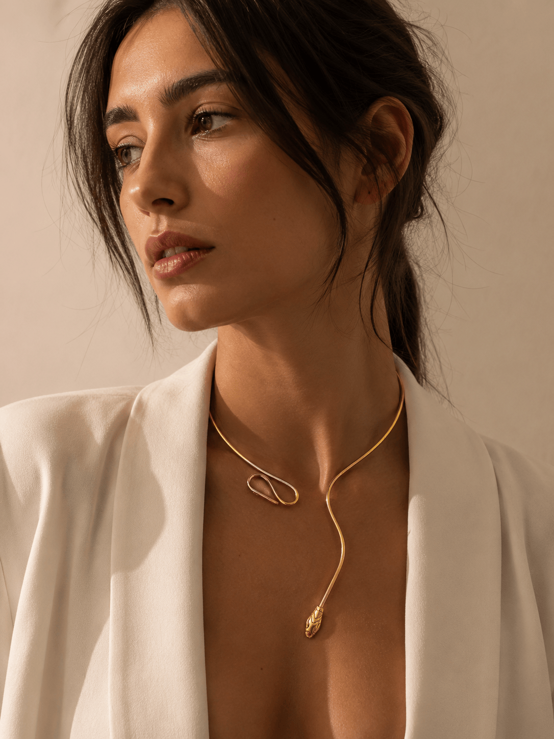 Naarya Jewels Minimal Snake-Inspired Wire Necklace (Anti Tarnish)